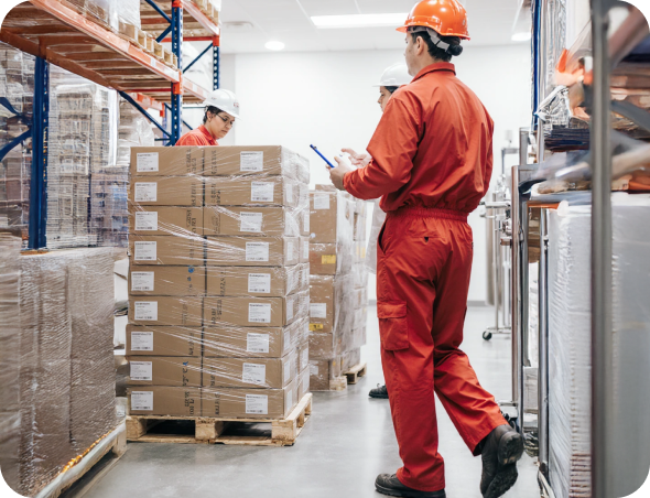 Сюрвеерский осмотр